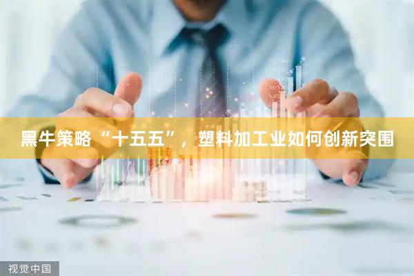黑牛策略 “十五五”，塑料加工业如何创新突围