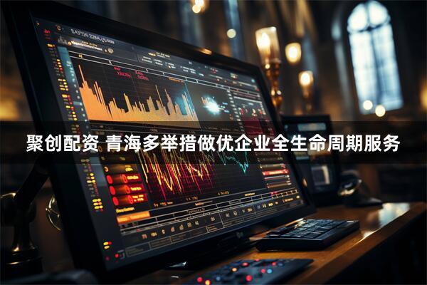 聚创配资 青海多举措做优企业全生命周期服务